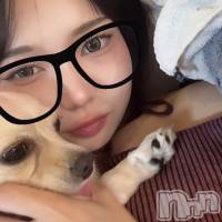 �����������Х��顦����� Diletto(�ǥ���å�) juri�β���(2����)