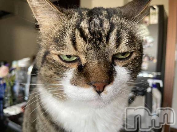 新潟デリヘル新潟デリヘル倶楽部(ニイガタデリヘルクラブ) きこ(20)の10月26日写メブログ「ごめんなさい💦」