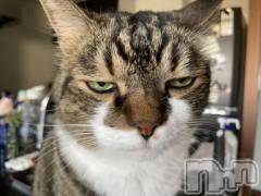 新潟デリヘル新潟デリヘル倶楽部(ニイガタデリヘルクラブ) きこ(20)の10月26日写メブログ「ごめんなさい💦」