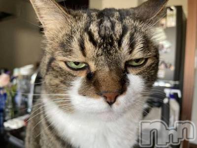 新潟デリヘル 新潟デリヘル倶楽部(ニイガタデリヘルクラブ) きこ(20)の10月26日写メブログ「ごめんなさい💦」