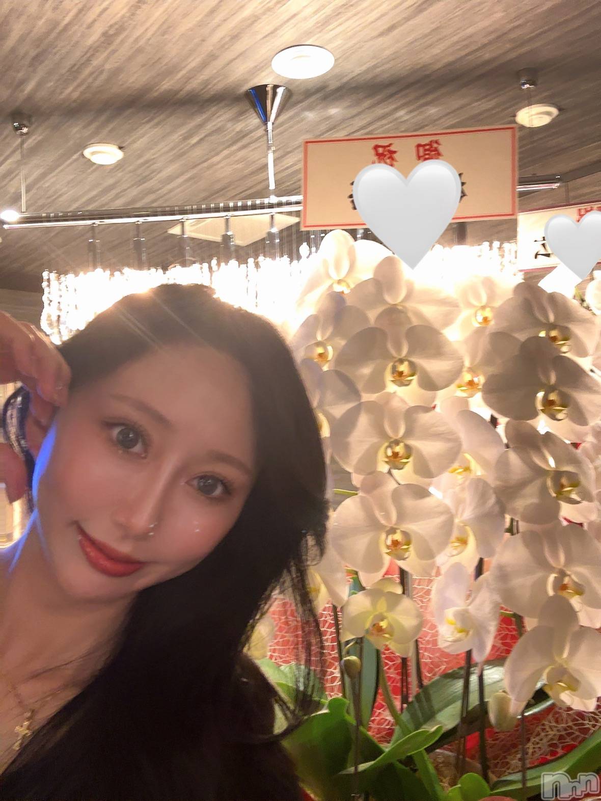 ĮХ顦BELUGA(٥롼) 2025ǯ1027̥֥1027OPEN💕