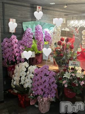 ĮХ顦BELUGA(٥롼) ꤵ(18)1030̥֥OPENΤ🌹✨