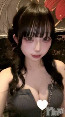 ܱХ顦CLUB FOUR LEAF(ե꡼) ͤͤ1024ֹ̥֥ȱˤʤä🐈‍⬛🌙