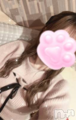 新潟デリヘル Cherish Amulet(チェリッシュ アミュレット) みあ★(22)の11月7日写メブログ「🐱💗 ２回目の出勤 💗🐱」