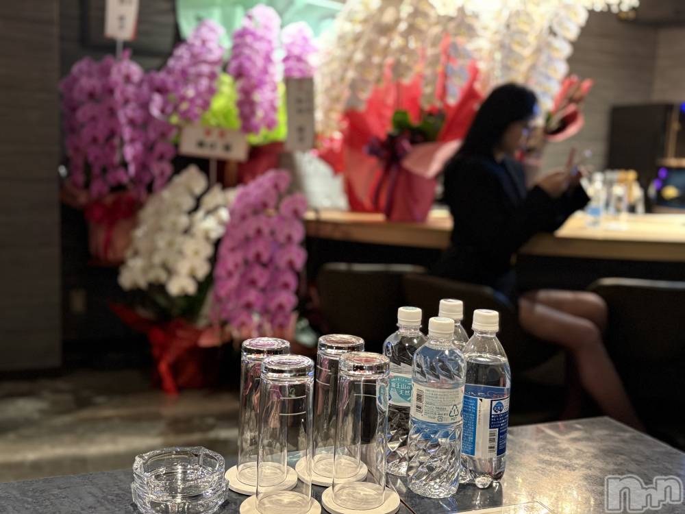 ĮХ顦BELUGA(٥롼) mumu1112̥֥ӡġ