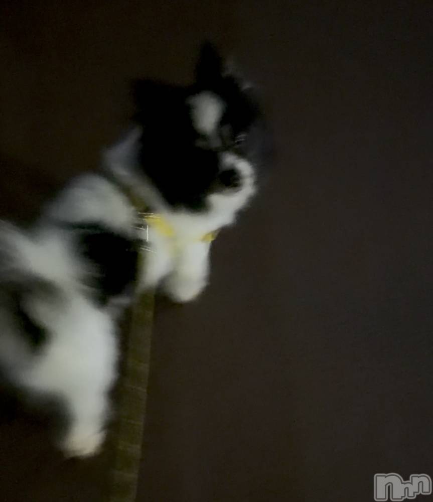 Įʥå륺Сconcept bar Citron(󥻥ץȥСȥ) Τ114̥֥֤̤̤̤‼️