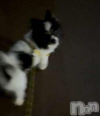 Įʥå륺Сconcept bar Citron(󥻥ץȥСȥ) (20)114̥֥֤̤̤̤‼️