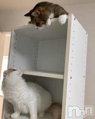 ��Į���ʥå��������륺�С�concept bar Citron(���󥻥ץȥС����ȥ���) ����(20)��12��5���̥�֥����֥��ꥹ�ޥ��ʤˤ��Ƥ롩��