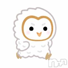 新潟ソープスチュワーデス にいな(20)の11月13日写メブログ「復帰！」