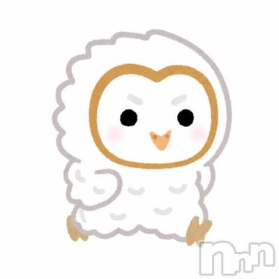 新潟ソープ スチュワーデス にいな(20)の11月13日写メブログ「復帰！」