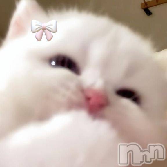 上越デリヘルHONEY(ハニー) あんじゅ(♪♪)(19)の1月13日写メブログ「急ぎ🚗³₃」