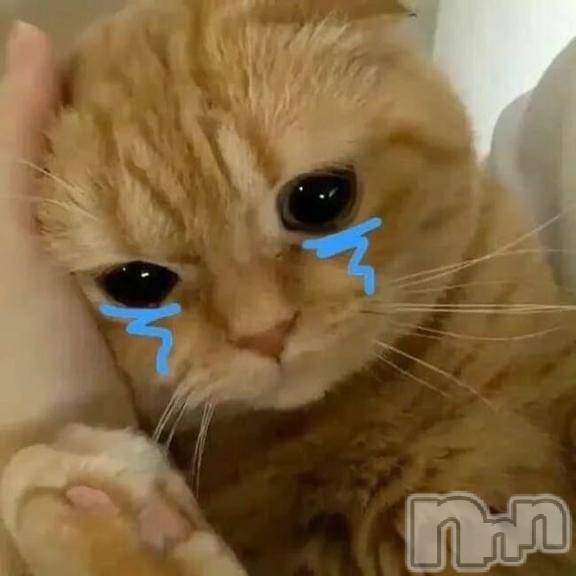 上越デリヘルHONEY(ハニー) あんじゅ(♪♪)(19)の1月16日写メブログ「お詫びです」