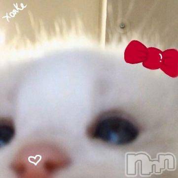 上越デリヘルHONEY(ハニー)あんじゅ(♪♪)(19)の2025年12月11日写メブログ「おそくなった💧‬」