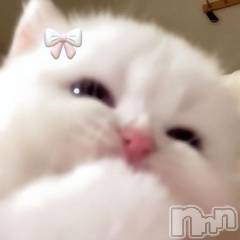 上越デリヘルHONEY(ハニー) あんじゅ(♪♪)(19)の1月13日写メブログ「急ぎ🚗³₃」