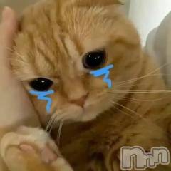 上越デリヘルHONEY(ハニー) あんじゅ(♪♪)(19)の1月16日写メブログ「お詫びです」