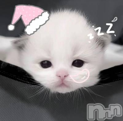 上越デリヘル HONEY(ハニー) あんじゅ(♪♪)(19)の11月13日写メブログ「オトクにゅーす」