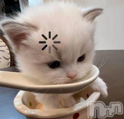 上越デリヘル HONEY(ハニー) あんじゅ(♪♪)(19)の2月24日写メブログ「しゅきんしたよ」