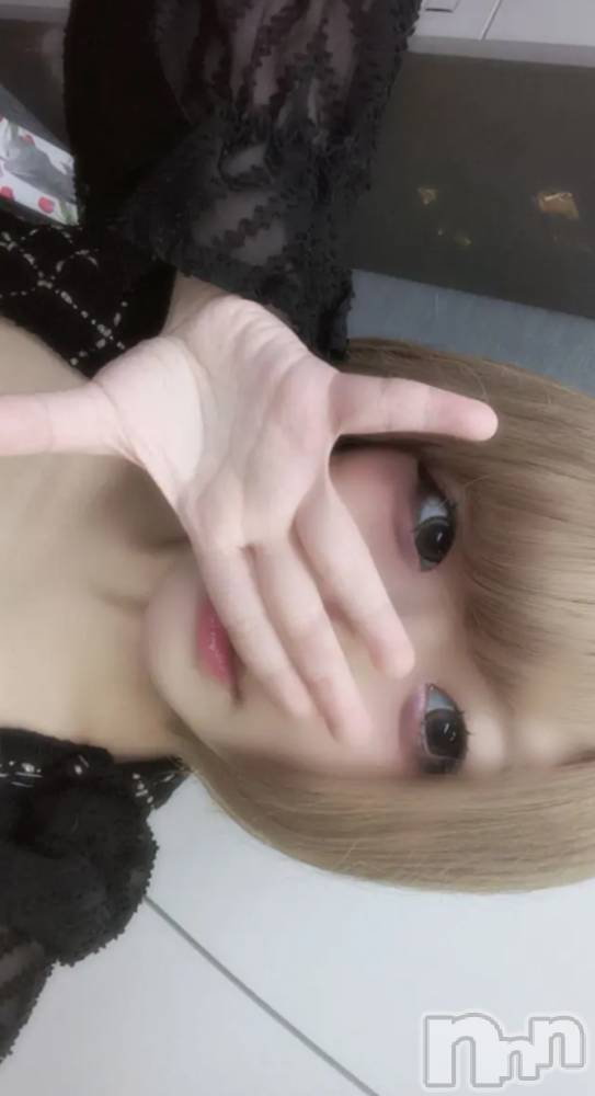 ƲХ顦֥ ץ Ĺ( ץ ʥ) 1126̥֥֤פ֤