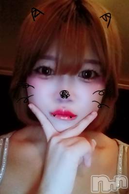 ��Ʋ����Х��顦����֥���� �ץ���� Ĺ��(����� �ץ���� �ʥ���) ����(18)��3��30���̥�֥����֤�äۡ�