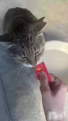�ˤ㡼�ˤ㡼�ˤ㡼