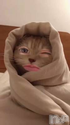 ���Ʊ����Ƥ��ޤ���