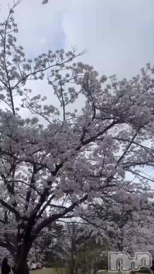 ❀.*��🌸🌸🌸