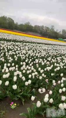 *.🌷.*