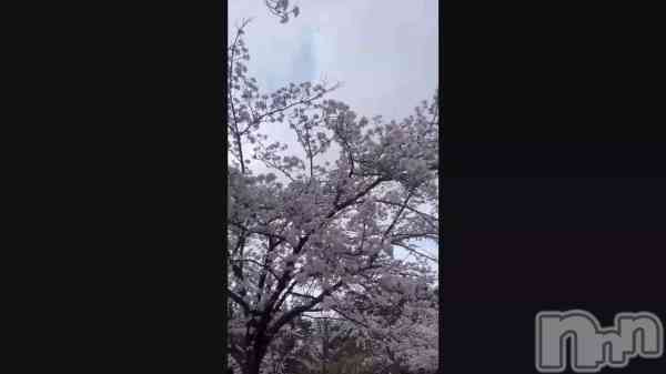 ��❀.*��🌸🌸🌸��