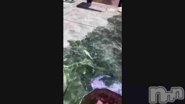 ��🌊🌊🌊��