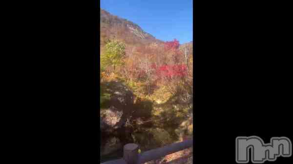 &#x1F341;&#x1F344;&#x1F330;