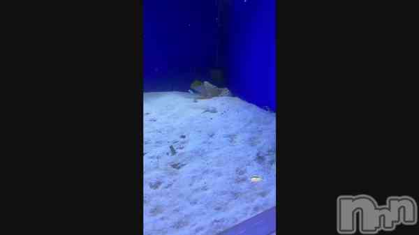 �֡뎥🐠��