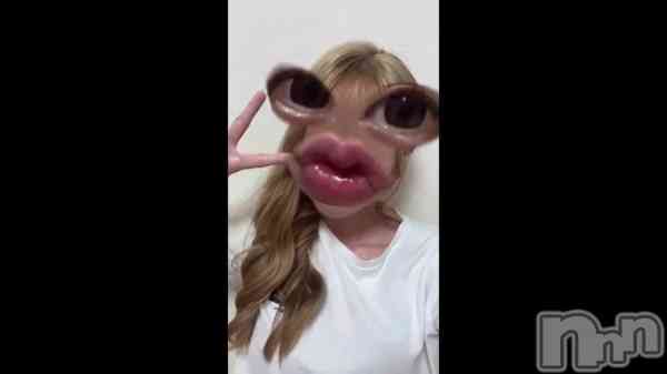 �֤���Ǥ�����