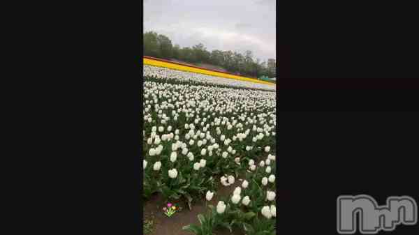 ��*.🌷.*��