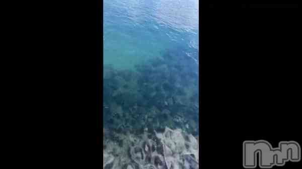 ��🐬🫧‪��