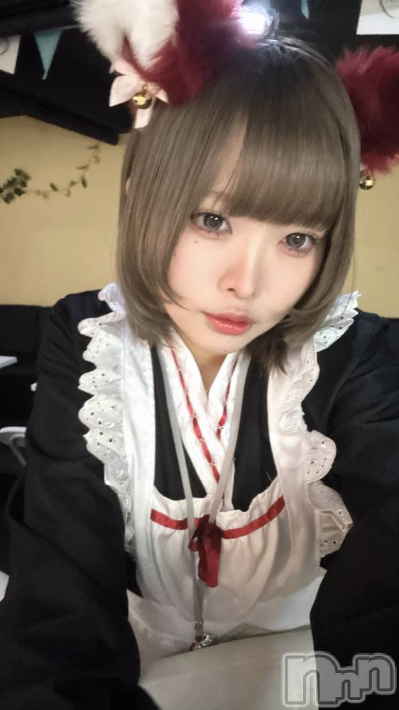 ��Į���ʥå��������륺�С�concept bar Citron(���󥻥ץȥС����ȥ���) �������1��10���̥�֥����֤��󤹤󡢰��֤�����