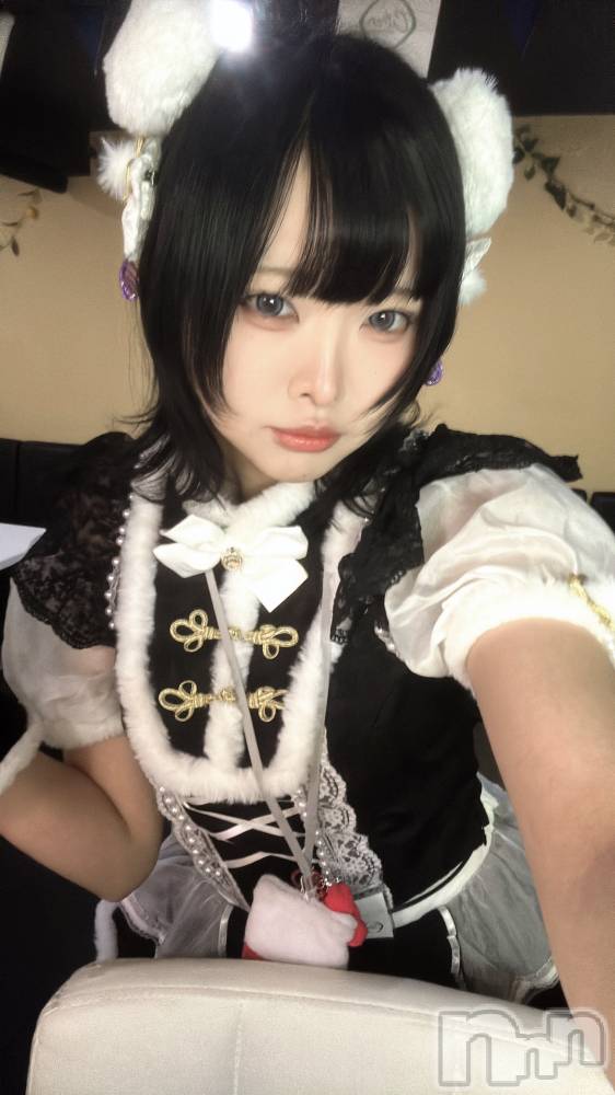 ��Į���ʥå��������륺�С�concept bar Citron(���󥻥ץȥС����ȥ���) �������2��20���̥�֥����֥��������😼��