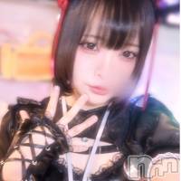 (20) Ĺ170cmĮʥå륺С concept bar Citron(󥻥ץȥСȥ)ҡ