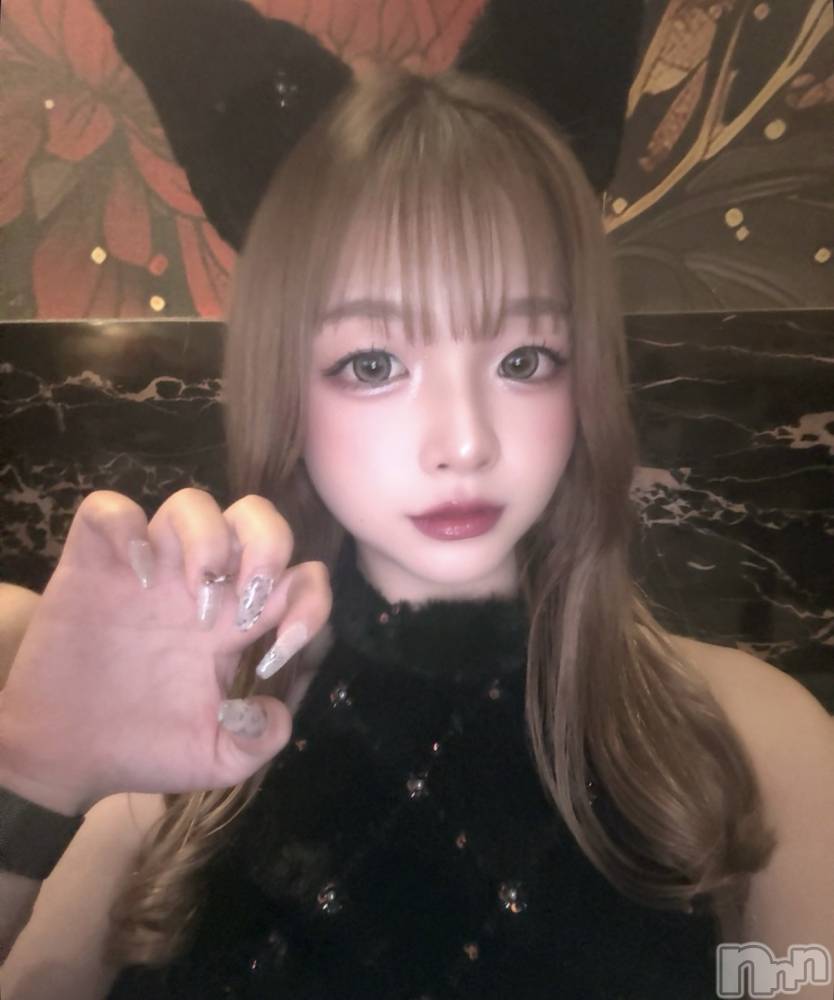 ܱХ顦CLUB FOUR LEAF(ե꡼) 1114̥֥֤ˤ🐈‍⬛୨୧ 