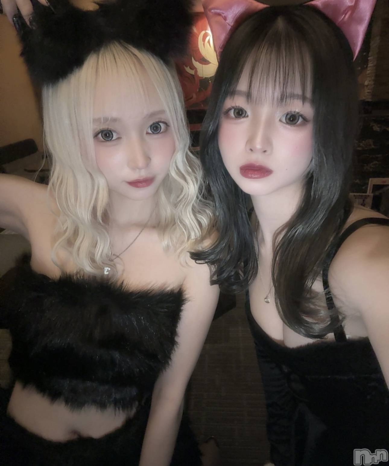 ܱХ顦CLUB FOUR LEAF(ե꡼) 2025ǯ1121̥֥֤ˤޤ🐈‍⬛🎀