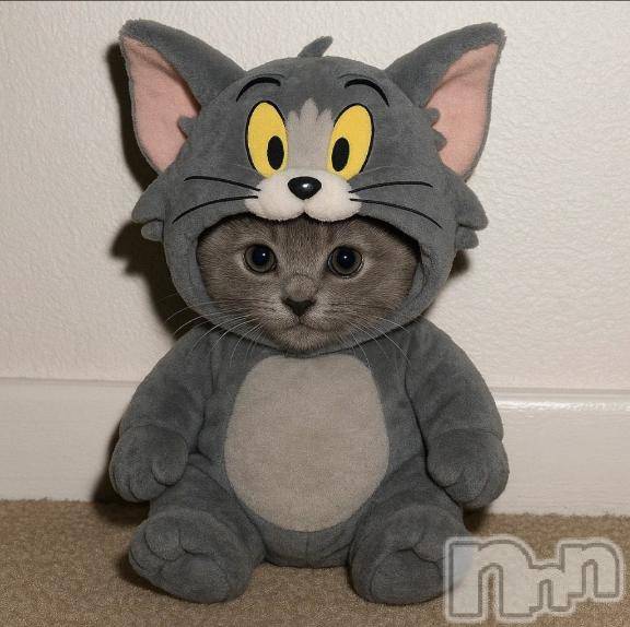 三条デリヘルalphaGOLD(アルファゴールド)らみ(21)の2025年11月8日写メブログ「[お題]from:常連さんと呼ばれたいさん」