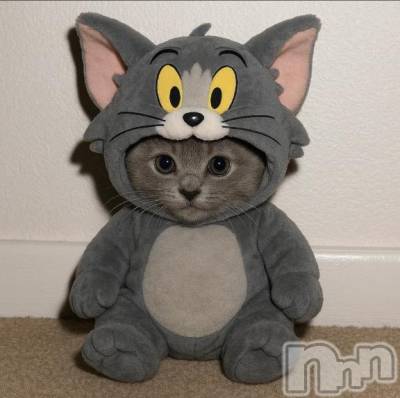 三条デリヘル alphaGOLD(アルファゴールド) らみ(21)の11月8日写メブログ「[お題]from:常連さんと呼ばれたいさん」