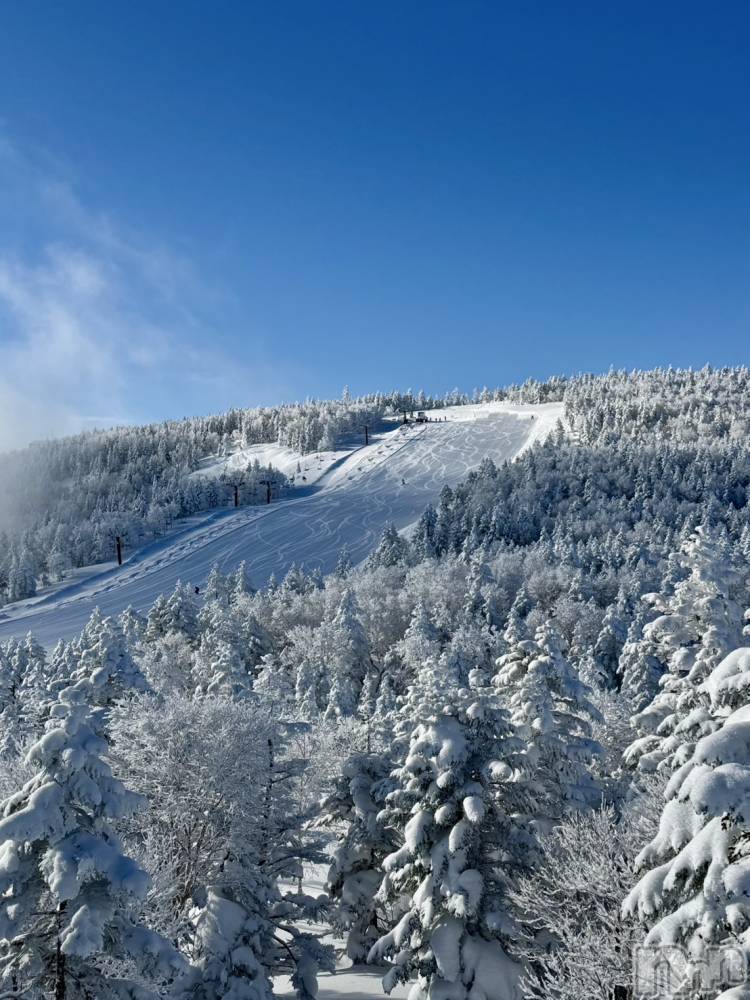 ��ˬ����Х��顦����֥���� �ץ���� ��ˬ(����� �ץ���� ����) �� ��礦��11��12���̥�֥����ִ���🥶��