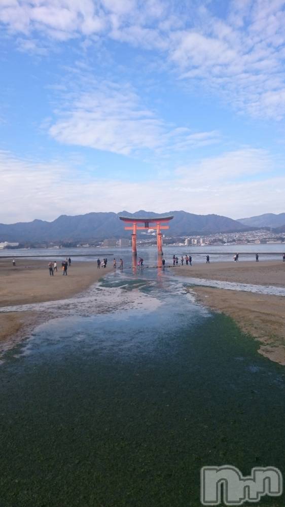 ��ˬ����Х��顦����֥���� �ץ���� ��ˬ(����� �ץ���� ����) �� ��礦��12��30���̥�֥�����ǯ��Ǹ�νж�🙌��