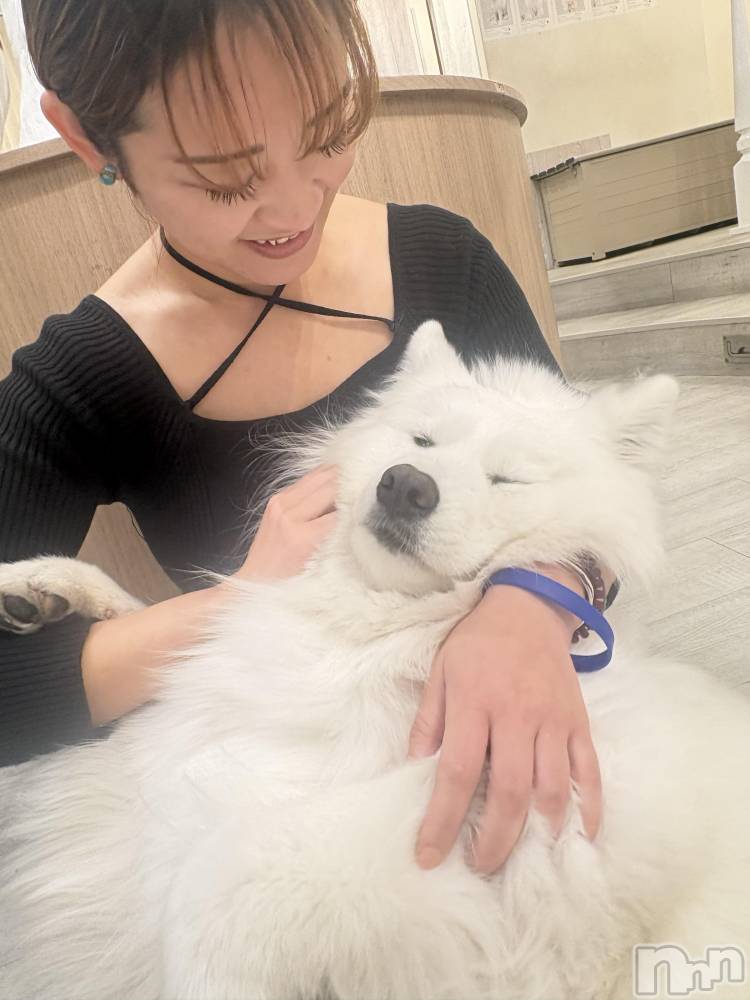 ��ˬ����Х��顦����֥���� �ץ���� ��ˬ(����� �ץ���� ����) �� ��礦��2��7���̥�֥����֥��⥨�ɥ��ե�🐕��