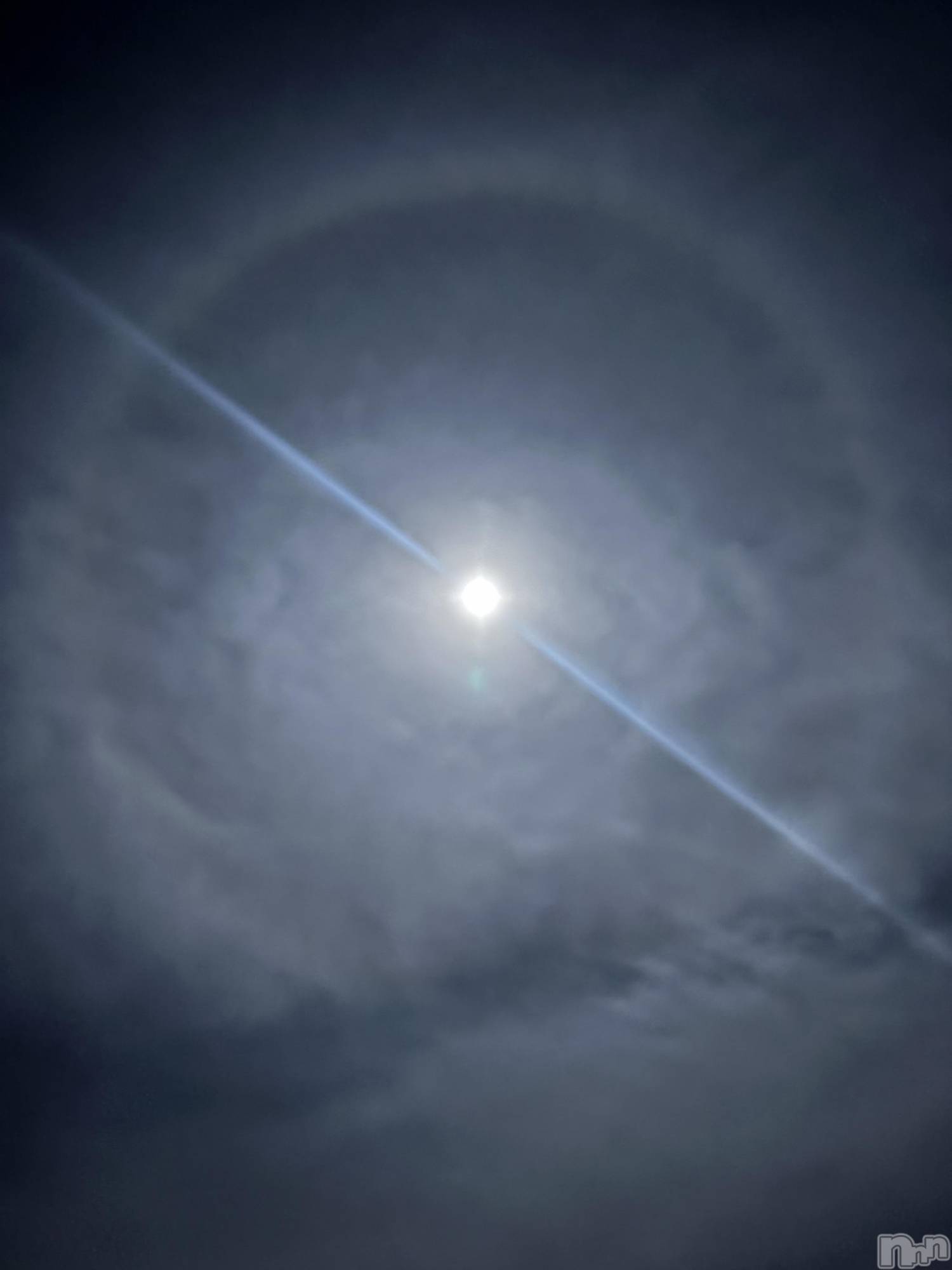 ��ˬ����Х��顦����֥���� �ץ���� ��ˬ(����� �ץ���� ����) ��2025ǯ11��6���̥�֥���������🌕��