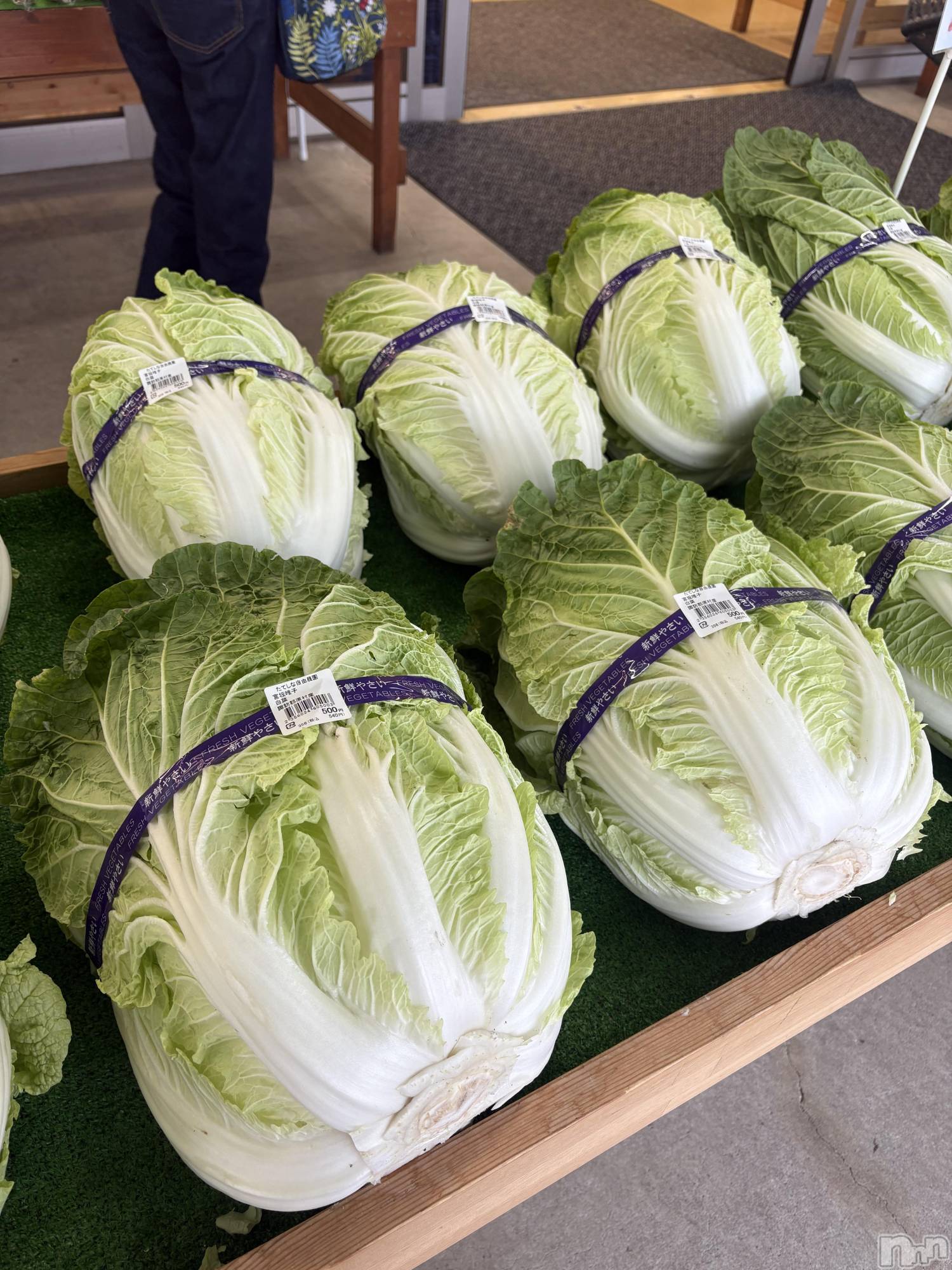 ��ˬ����Х��顦����֥���� �ץ���� ��ˬ(����� �ץ���� ����) ��2025ǯ11��7���̥�֥�����Ĺ��ι����ʤȤ���💕��