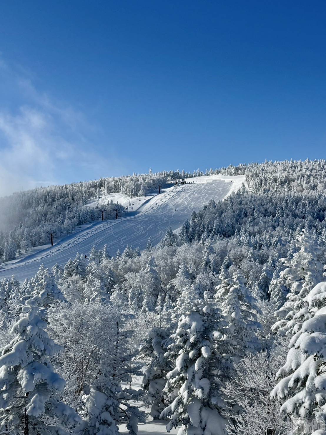 ��ˬ����Х��顦����֥���� �ץ���� ��ˬ(����� �ץ���� ����) ��2025ǯ11��12���̥�֥����ִ���🥶��