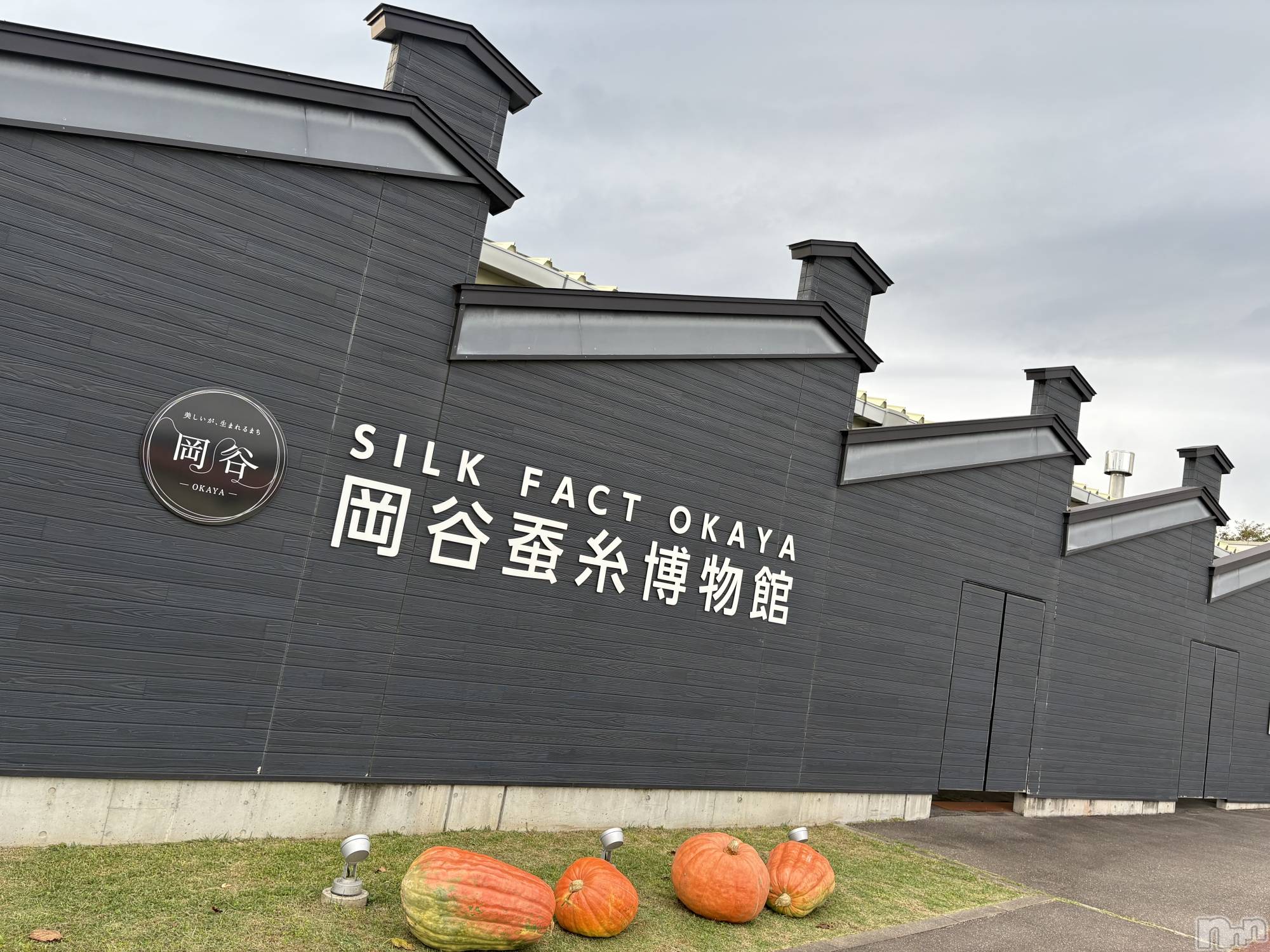 ��ˬ����Х��顦����֥���� �ץ���� ��ˬ(����� �ץ���� ����) ��2025ǯ11��18���̥�֥�������ʪ������🪭👘��