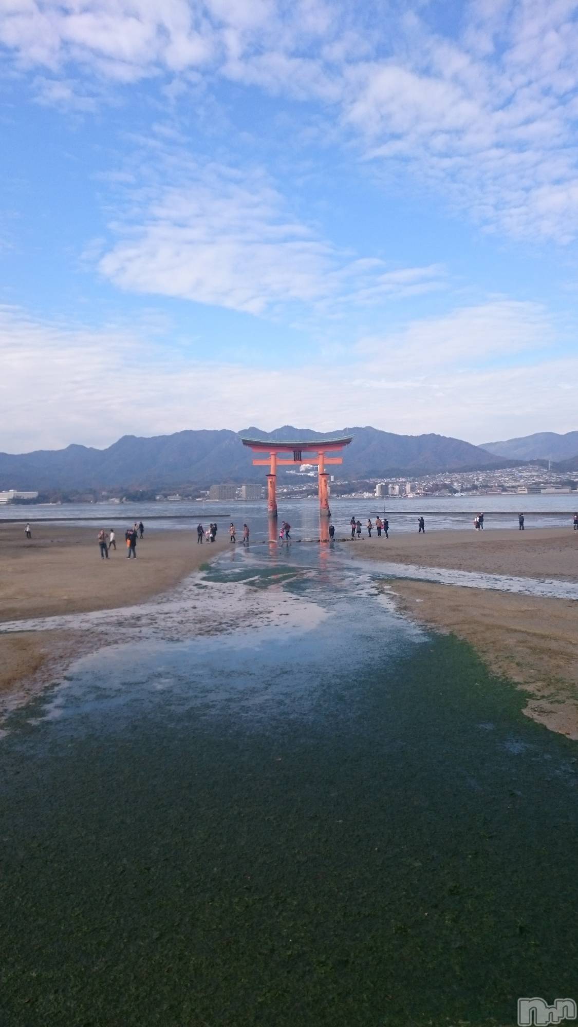 ��ˬ����Х��顦����֥���� �ץ���� ��ˬ(����� �ץ���� ����) ��2025ǯ12��30���̥�֥�����ǯ��Ǹ�νж�🙌��