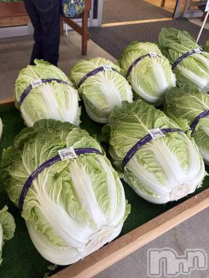 ��ˬ����Х��顦����֥���� �ץ���� ��ˬ(����� �ץ���� ����) �� ��礦��11��7���̥�֥�����Ĺ��ι����ʤȤ���💕��